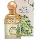 Aqua Allegoria Angelique Lilas (Аква Аллегория Ангелик Лилас) от Guerlain (Герлен) Aqua Allegoria Angelique Lilas (Аква Аллегория Ангелик Лилас) от Guerlain (Герлен)